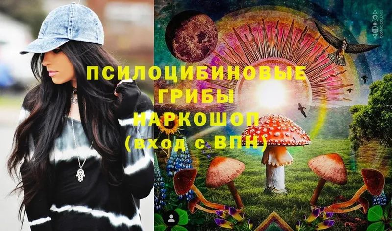 Галлюциногенные грибы Psilocybine cubensis  Адыгейск 